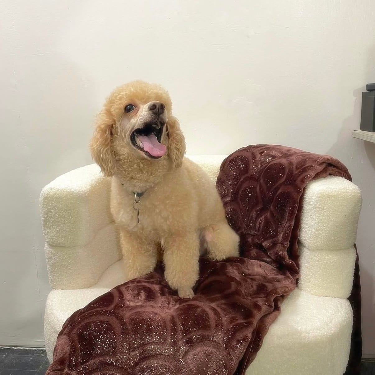 Monty